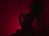 _curiouskitten_ avatar