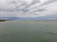 abracadabra08 avatar