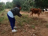 africanqueen123 avatar