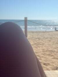 alexpereira817 avatar