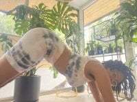 aliayourfav avatar
