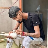 amit9163 avatar