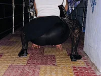 amjelina avatar