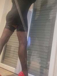 analmoni avatar