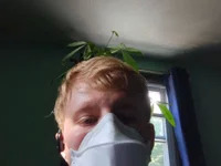 analpounded avatar