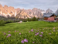 andreaaa20262 avatar