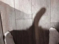 antoniodz23 avatar