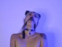 aryya88 avatar
