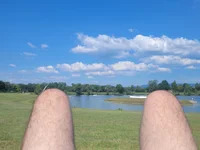 austriancock1 avatar