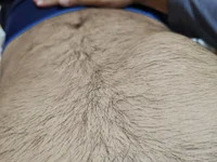 bastardhorny69 avatar