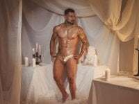 bastian_bigcock avatar