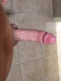 bdsmbear4cub avatar