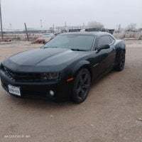 bearded_cross avatar