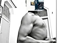 beast_bull avatar