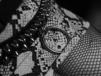 bellevelvet avatar