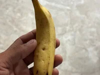 biamvuankao avatar