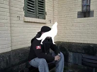 bick_cock_ avatar