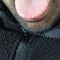 big_dick_fuker123 avatar