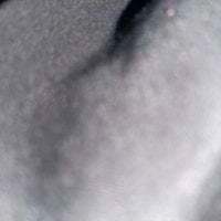 bigbeast19393 avatar