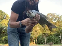 bobmarleybd15420 avatar