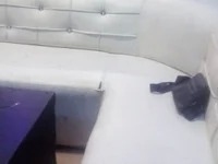 bonnbitexxx avatar