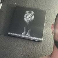 boran72 avatar