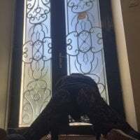 branleurbidu90 avatar