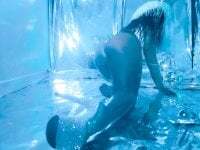 butterflynikole avatar