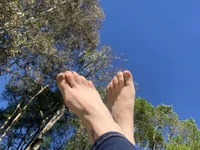 casadasafadaDP avatar