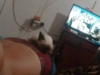 casal895 avatar