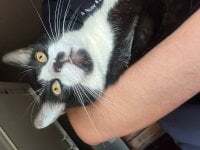 cazadornocturno1997 avatar