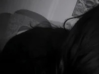 charlotth avatar