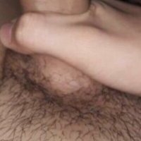 ciruelo1 avatar