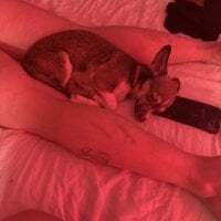 cloudyplay661 avatar