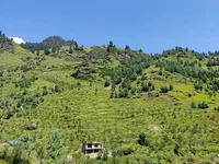 colboy8158 avatar