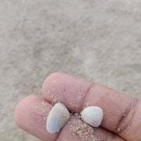 cookie-n-cream avatar