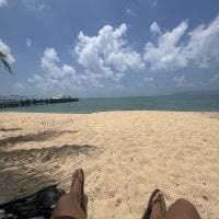 cruelworldxxx avatar