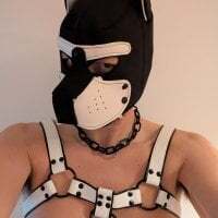 cruiserpup avatar
