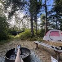 custardnmypie avatar