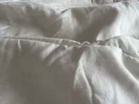 danaymaxxx avatar