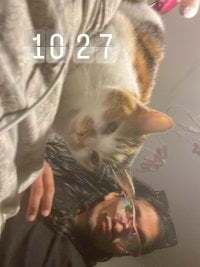 dangelosinzhz avatar