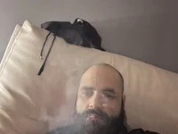 danibigcazz avatar
