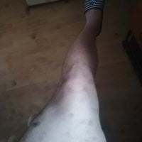 deepthroat_dude avatar