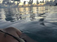 desired_breasts avatar