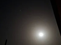 dickbigges14 avatar