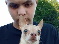 diman_11 avatar