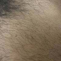 disporeelgrossebite avatar