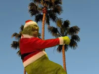 dudabrazilia avatar