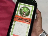 eidennnn8 avatar
