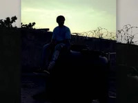 elVeecerro avatar